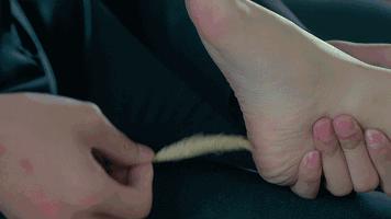 这么冷的冷知识你知道多少,关于历史的冷知识你知道几个