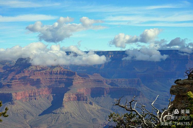 鍖楃編鏋儏闃虫柊,鍖楃編鏋儏鍥剧墖