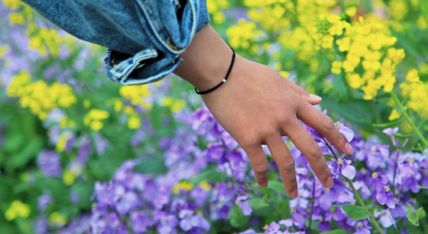 春游江淮请你来滁州版,春游江淮等您来