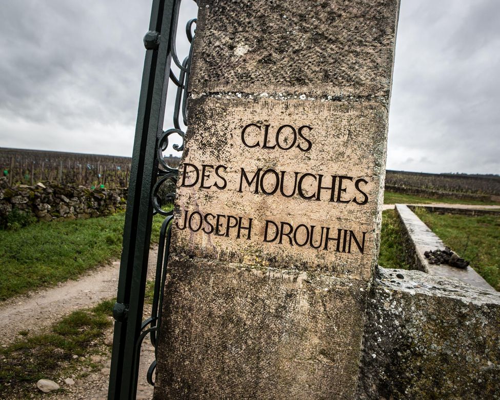 最好喝的法国葡萄酒,法国最有代表性的葡萄酒