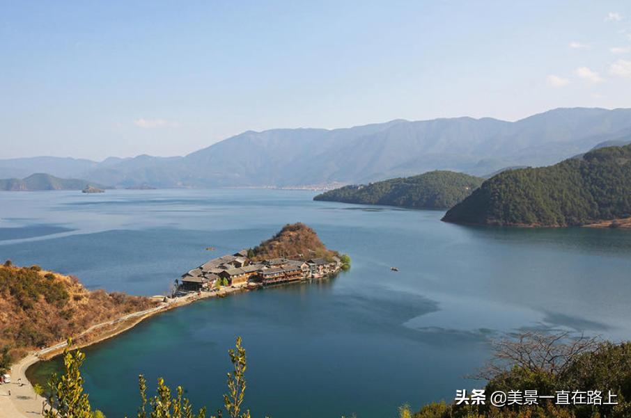 西伯利亚海鸥回到泸沽湖,西伯利亚海鸥泸沽湖