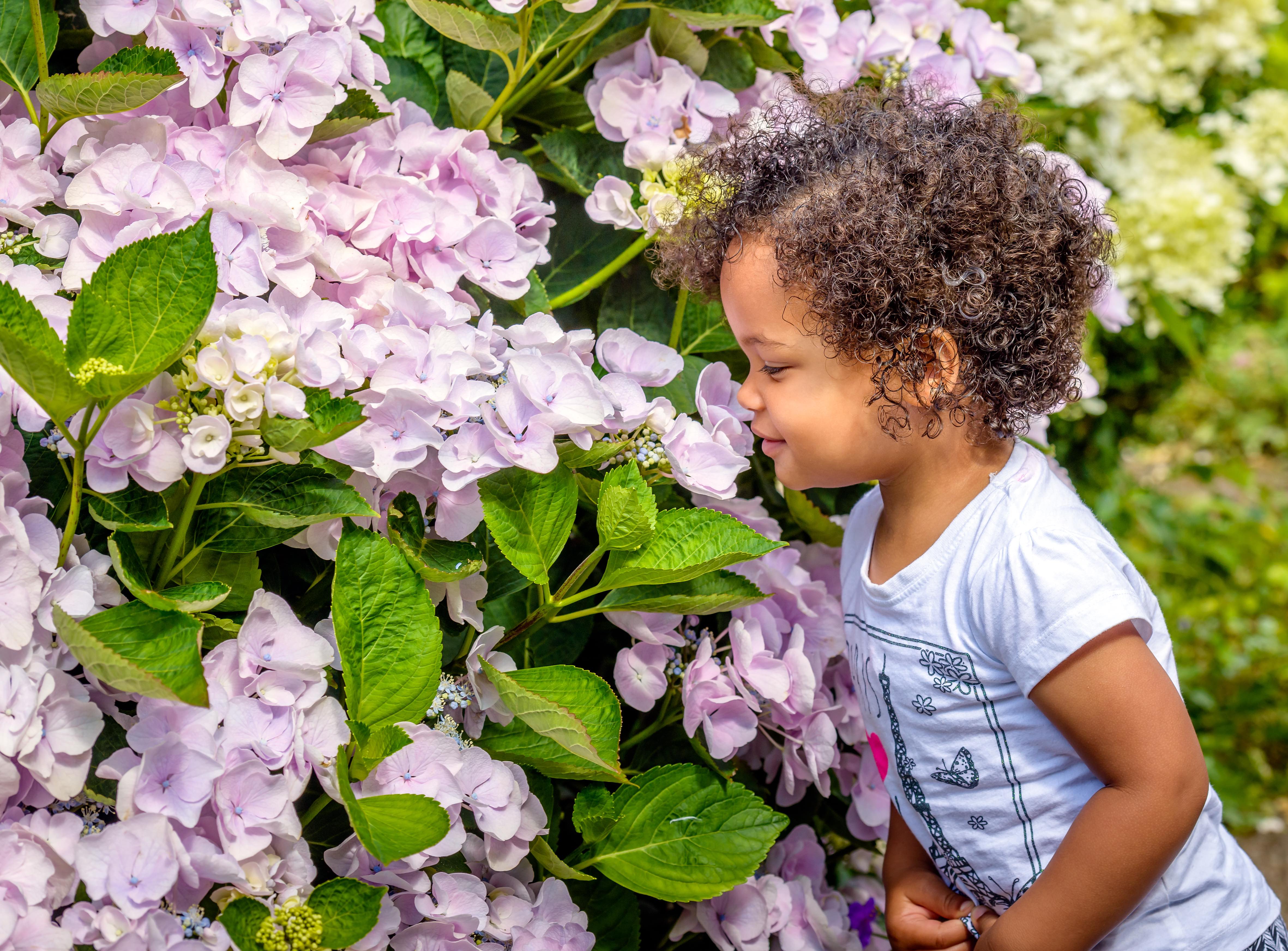 夏日童趣三年级,童趣夏日好时光