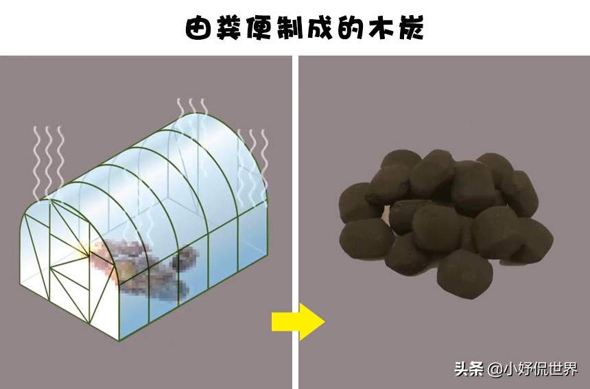 拯救地球环保,环保地球的新发明