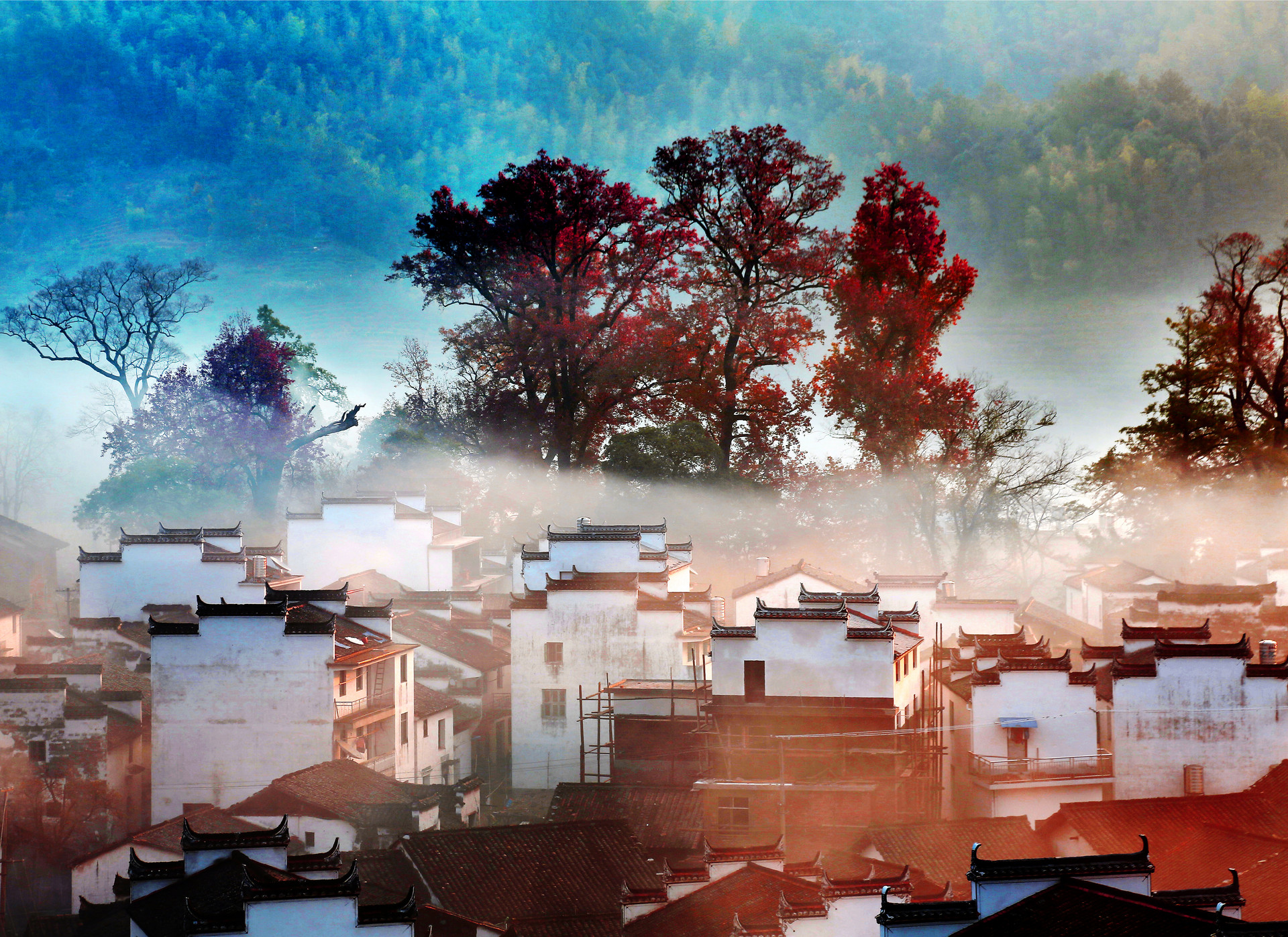 心中若有桃花源相同的诗句,心有桃花源的诗句