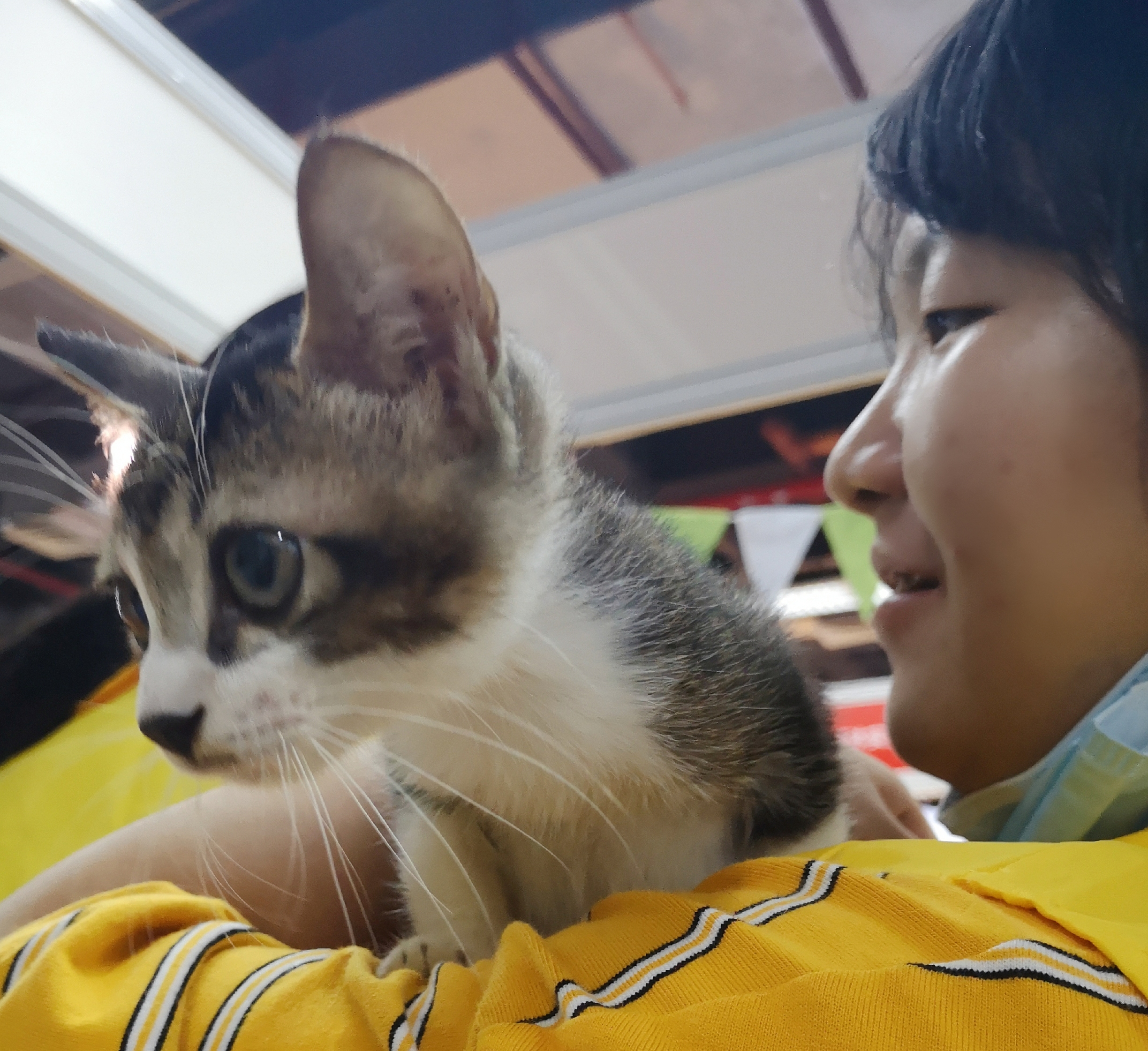 2021CPF重庆宠物展：让领养代替购买不再是空谈