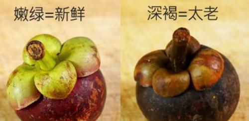 水果皇后山竹的傲娇生活,水果皇后山竹的作文