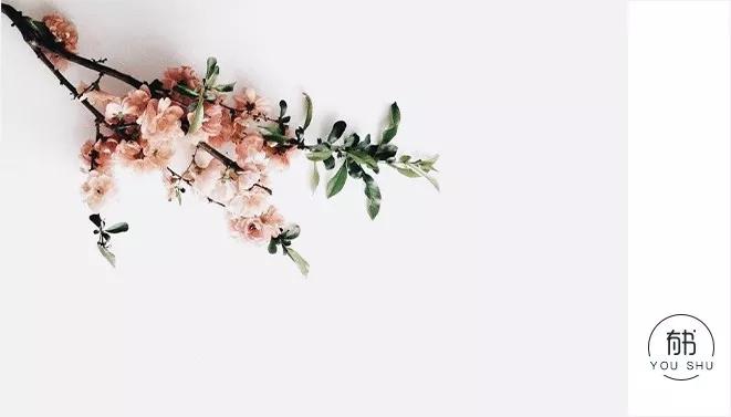 认怂才能保平安上一句,认怂是不是好事