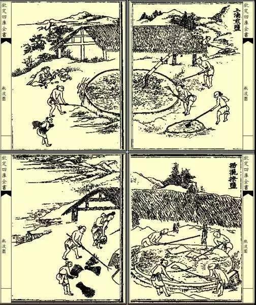 为什么浦东老地名中有这么多场、团、灶？原来与此有关