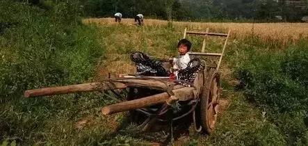 我们曾经放过的麦假