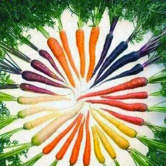 各种蔬菜水果祖先的样子,各种蔬菜祖先