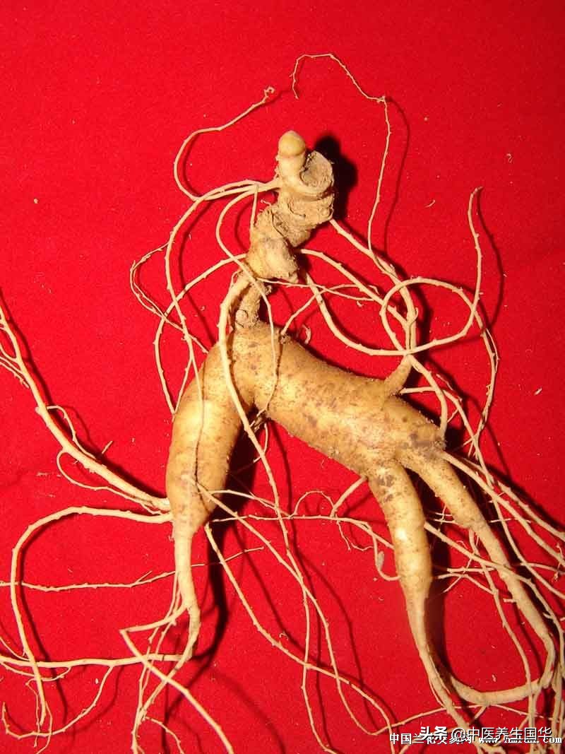 人参红参高丽参怎么吃比较好,人参种类大全红参的用途