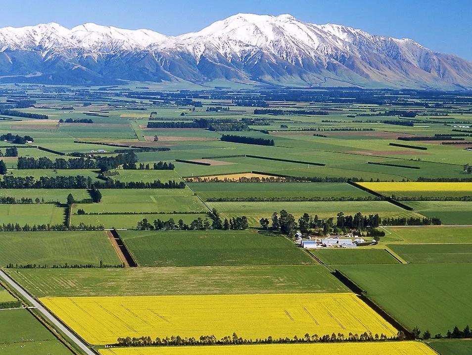 新西兰抗疫,新西兰抗疫成绩