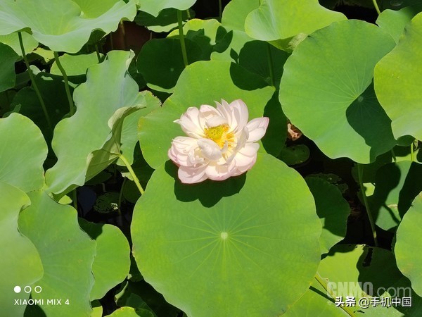 小米mix2s评测,小米mix4游戏评测