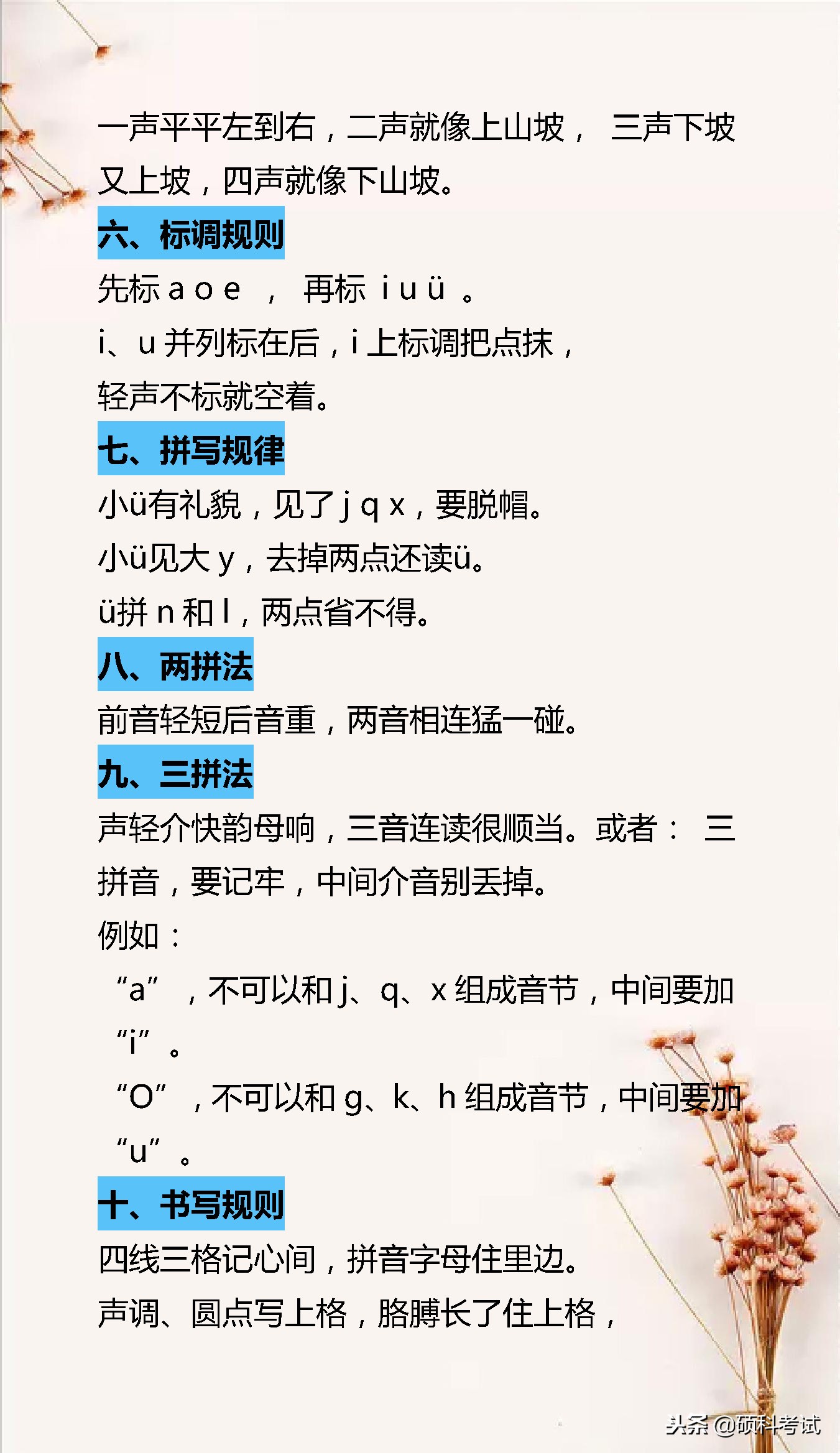 一年级语文拼音学习方法与技巧,小学一年级语文拼音知识点汇总