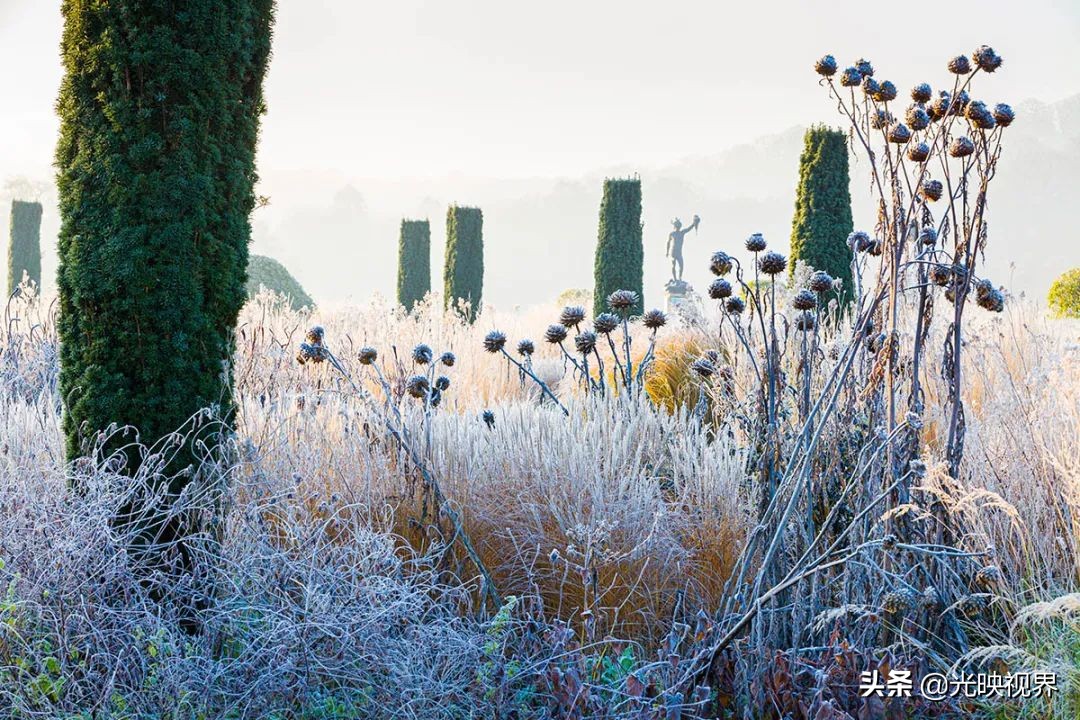 世界级国际花园摄影大赛,中国最美花园摄影作品