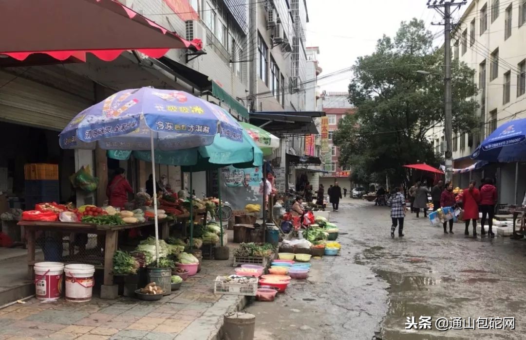 通山最便宜的菜去哪里买,通山卖菜批发市场