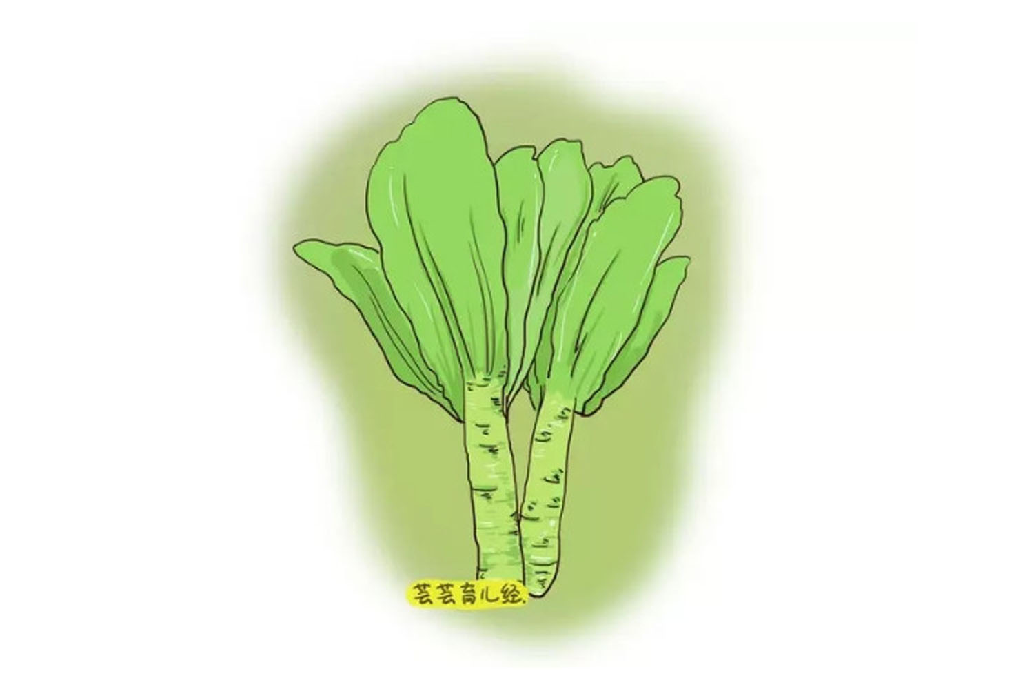 推荐6道美味月子下奶汤,喝什么蔬菜汤奶水多又有营养