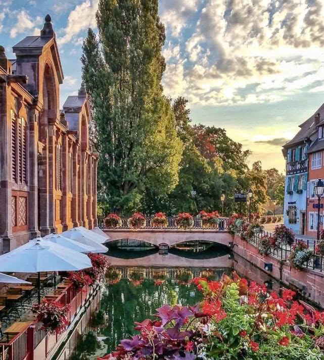 迪士尼奇妙而又梦幻,迪士尼的神奇之处