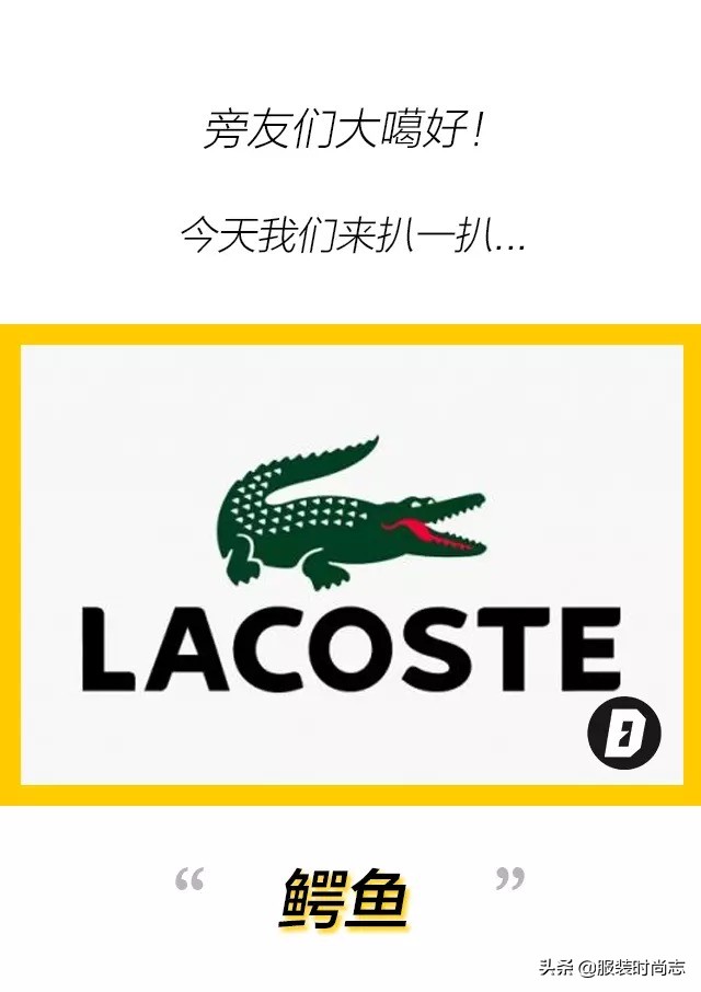 鳄鱼polo衫lacoste穿搭,鳄鱼lacoste搭配