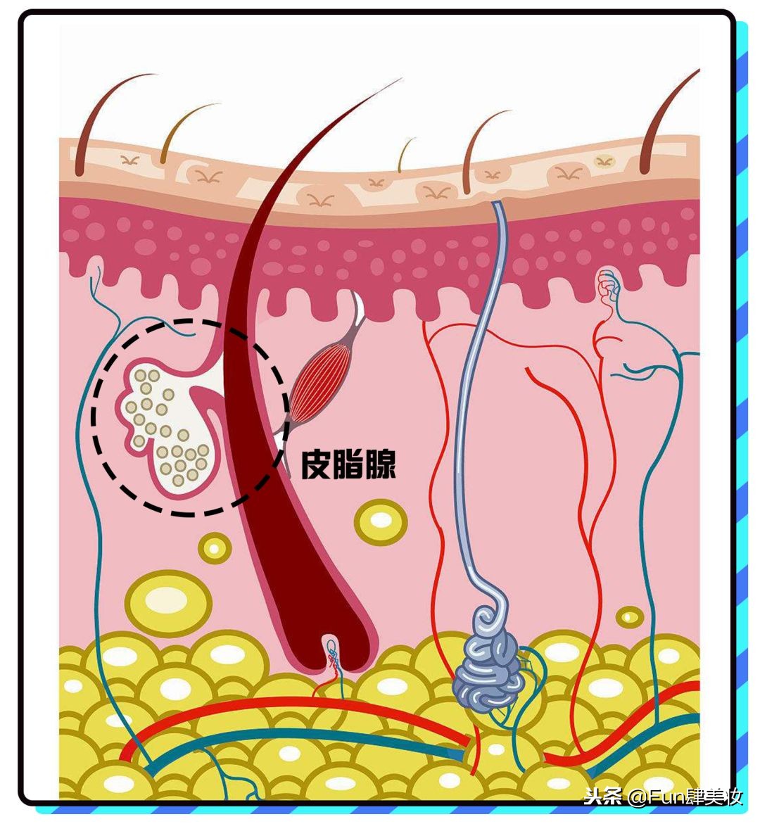 长痘怎么才能不留痘坑,痘肌自救方法视频