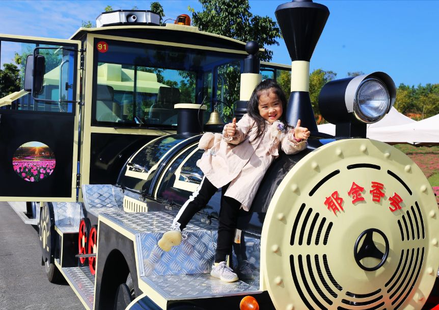 弥勒太平湖森林木屋酒店团购直播,弥勒太平湖森林木屋酒店有温泉