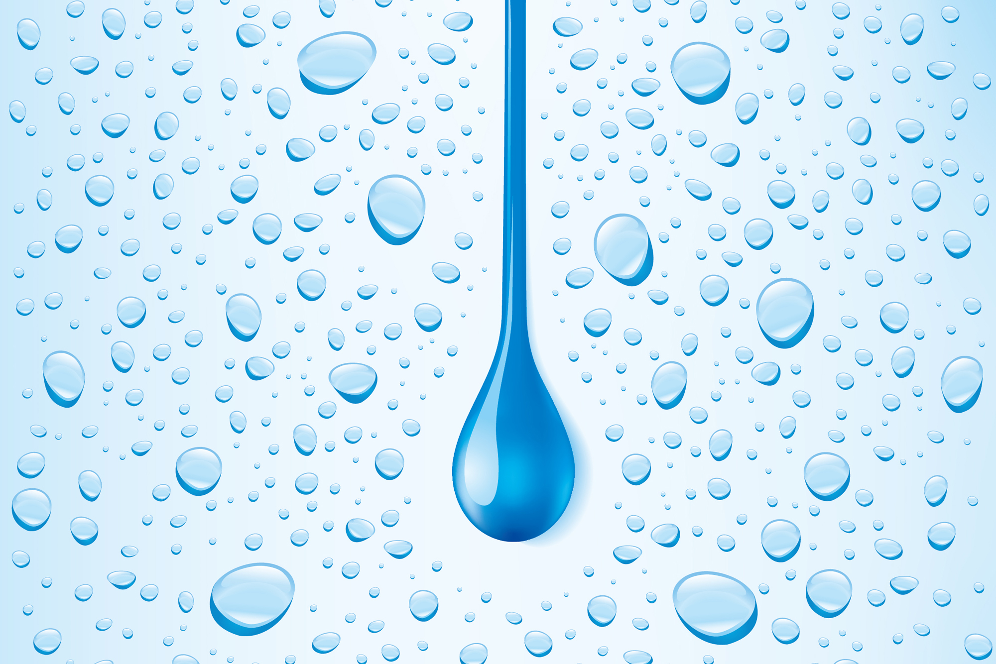 黑坑钓鲤鱼小药啥牌子最好,黑坑钓鲤鱼小药推荐