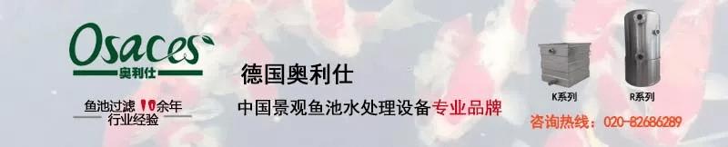 锦鲤鱼池下过滤池底粪便如何清除,锦鲤鱼池过滤系统十大注意事项