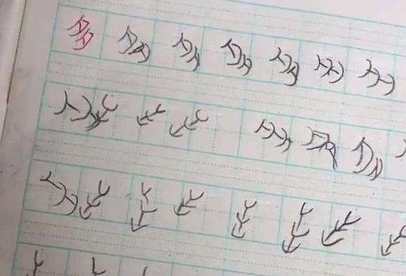 小学生罚写罗字的新闻,小学生罚抄100遍名字