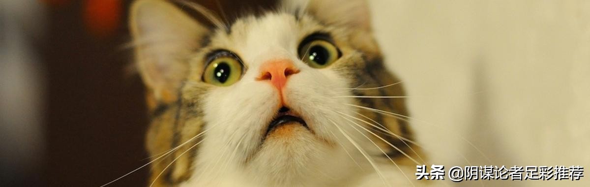 每日竞彩推荐:C罗驾到!欧国联盘口实战—葡萄牙VS瑞士