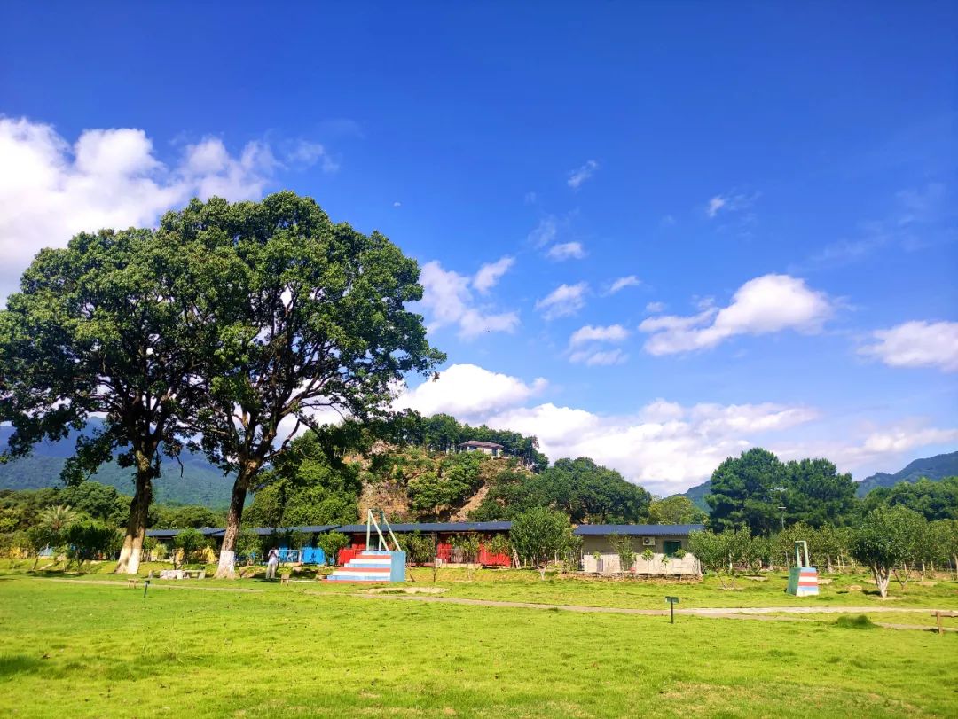 国庆假期必住|分分钟拍出大片的绝美仙气民宿，每家都想睡~记得提前预订哟！