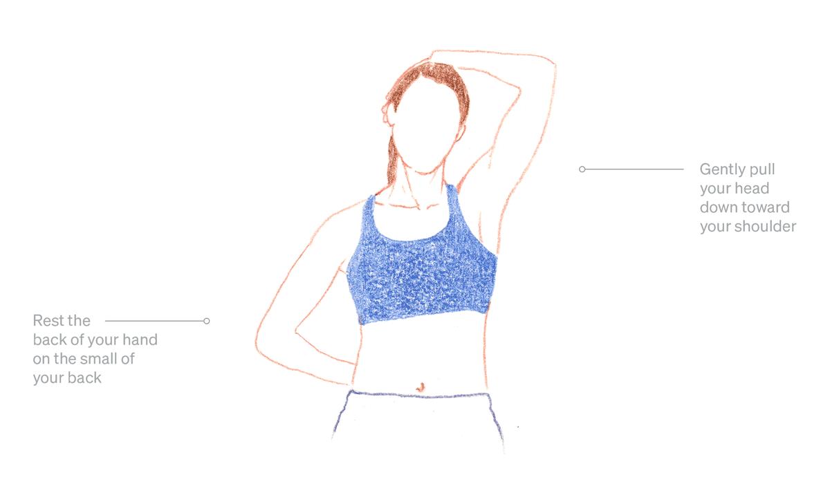 右侧后背僵硬肩胛骨下边疼,右后背肩胛骨下方僵硬是咋回事