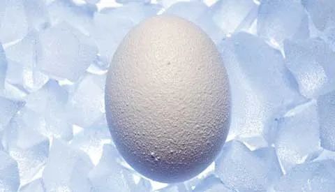 单身女性冻卵合法化你支持吗,女性争取冻卵权