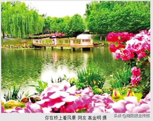 南阳晚报在线阅读,南阳晚报作品