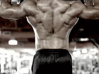 背部训练计划细节讲解,背部训练计划及训练部位