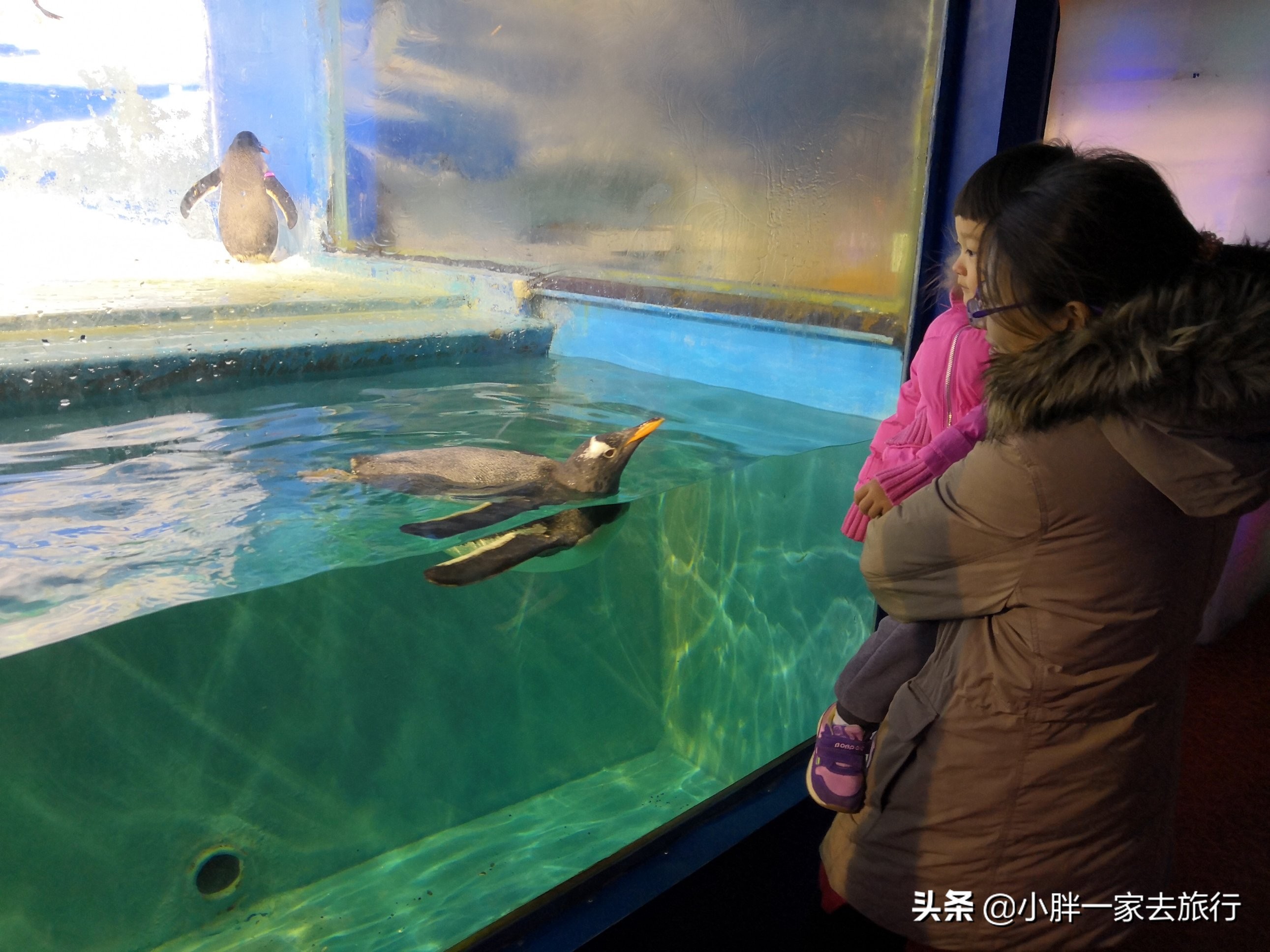 哏都天津游记,哏儿都天津2019最全的旅游攻略