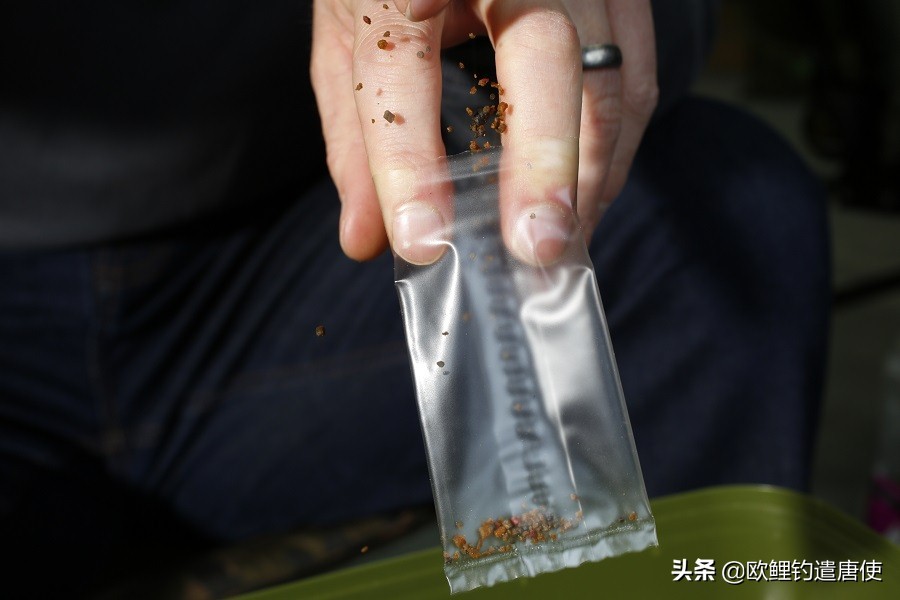 外国人钓鱼打窝技巧,老外用超大饵钓鱼