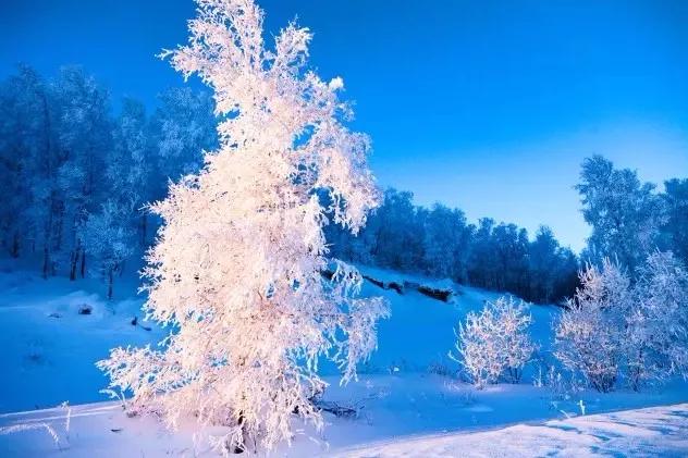 此生必去看一次雾凇太美了,此生必去看一次雾凇简直要美哭了