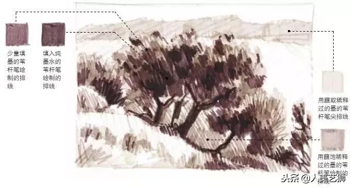 碳素笔素描简笔画入门,教学用水彩笔画画