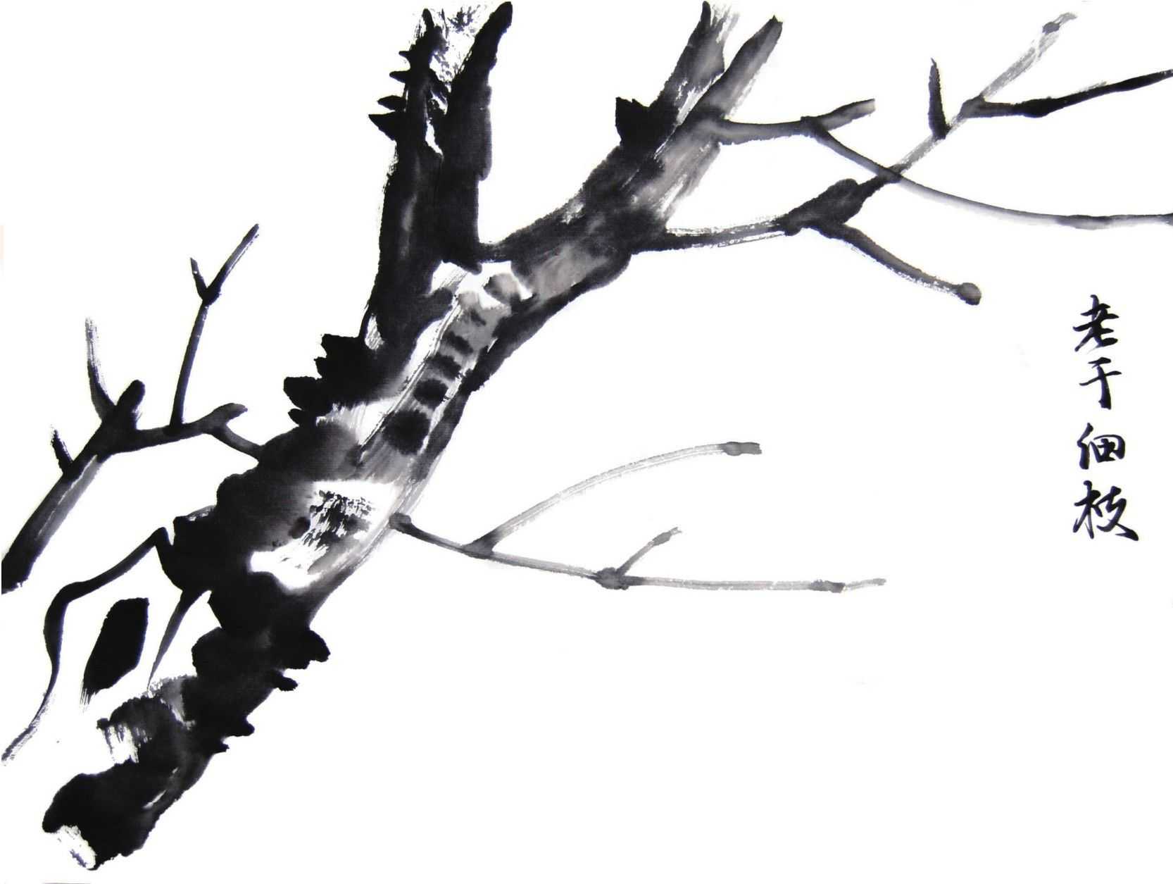 国画花枝穿插技巧图解,国画花枝的简单教程