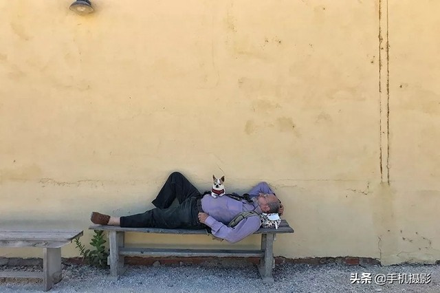 ippa摄影大赛年度总冠军,ippa摄影大赛2014