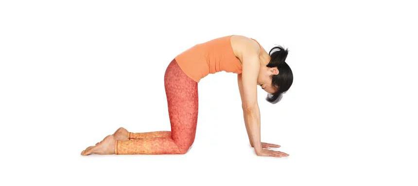 久坐腰背不舒服瑜伽缓解姿势教程,久坐腰肌劳损食疗