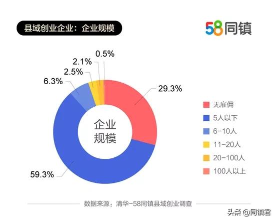 全国各地2020年回乡创业的数据,58同镇推广效果好吗