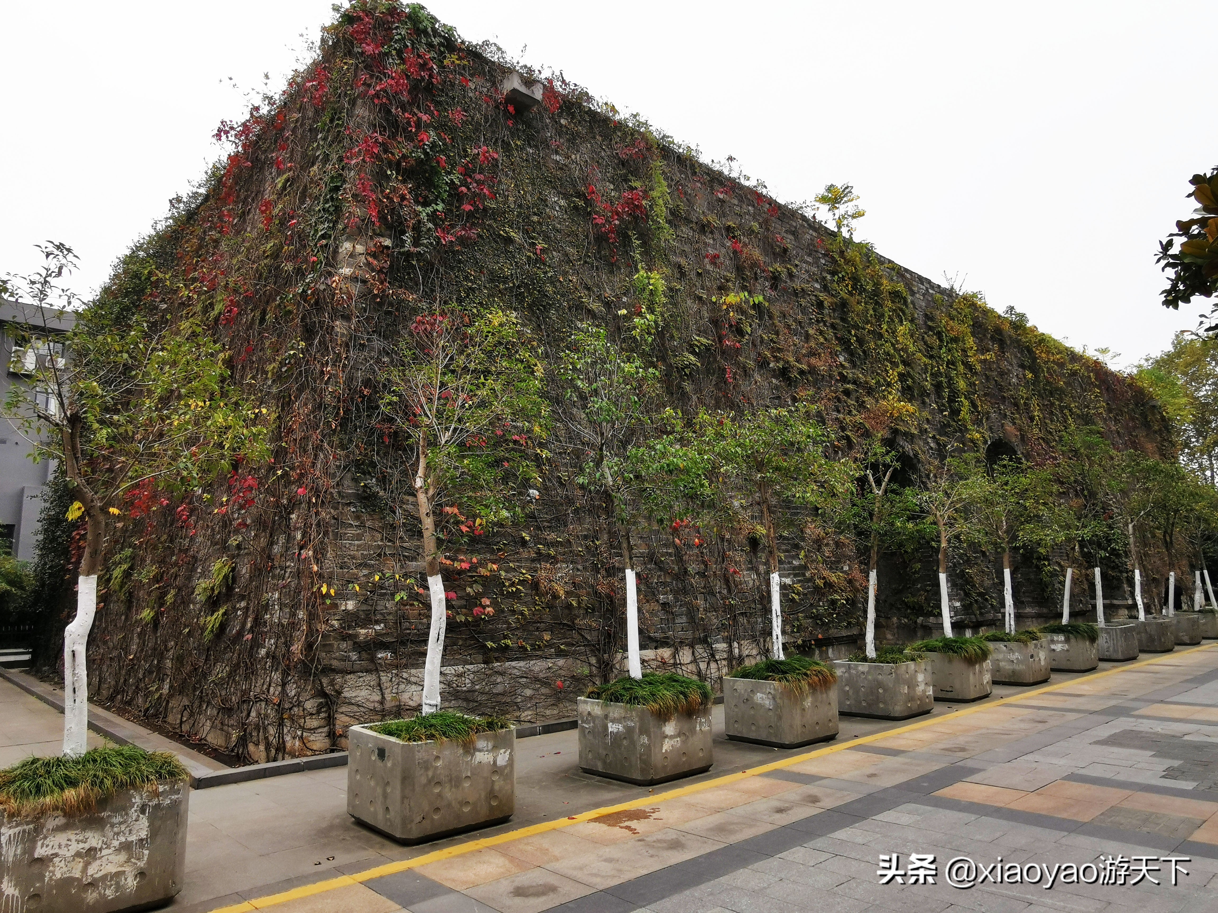 南京一条中山路半部民国史,行走南京1-100公里