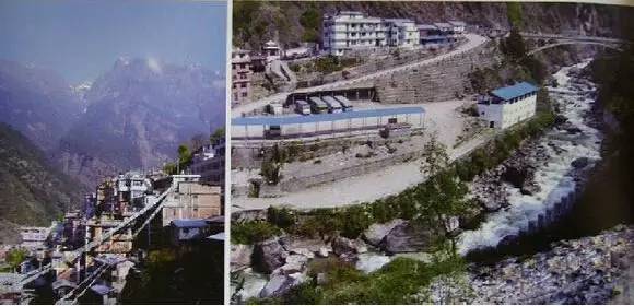 印度小叶紫檀骗局套路,印度小叶紫檀绝迹否