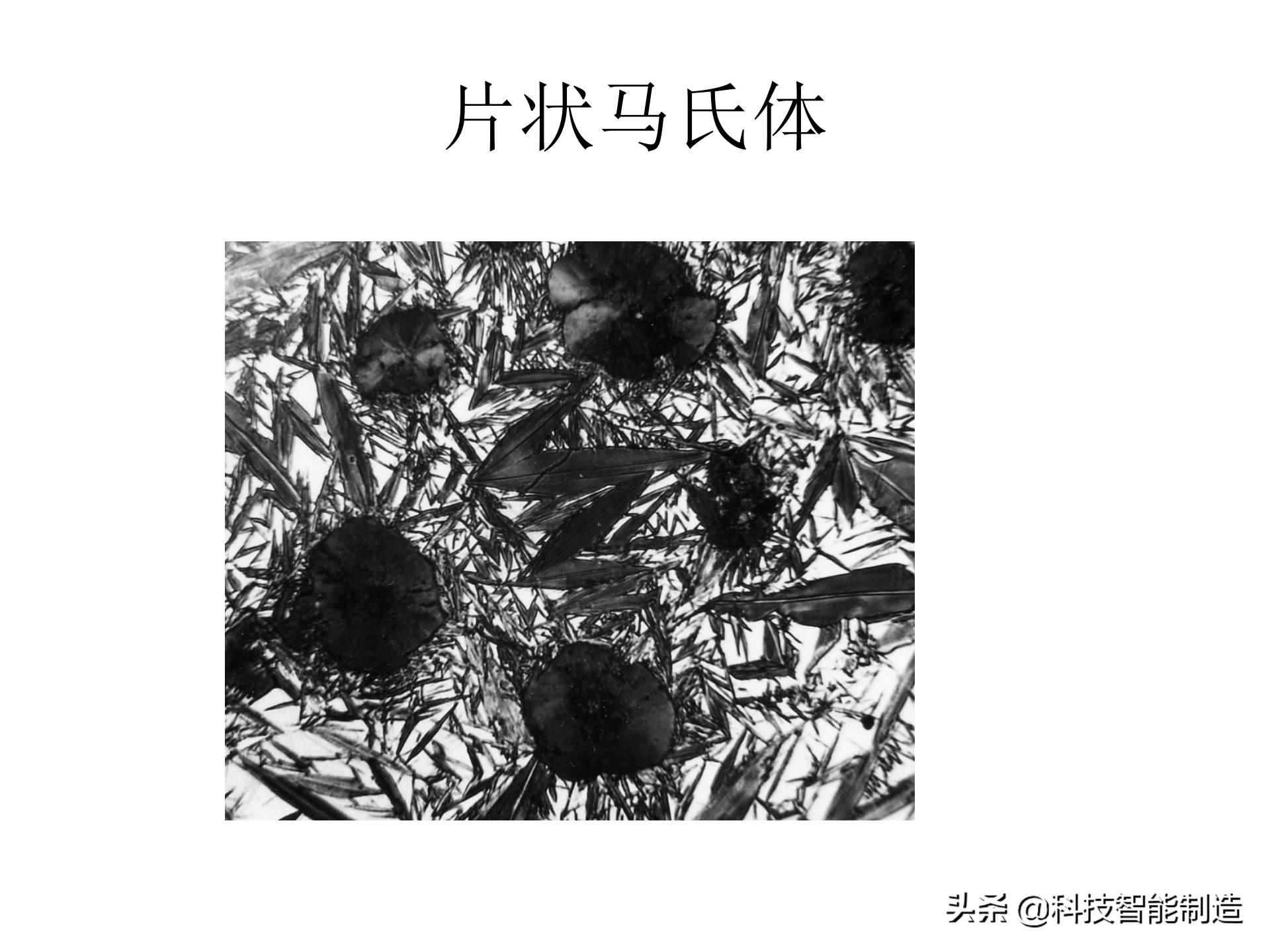 金属材料基础知识，金相组织如何看，金相组织告诉我们什么？