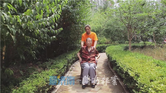 志愿,“镜”见天桥之美