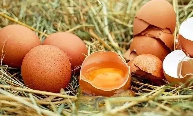 食物烂了一点，还能不能吃？这4类真不能吃，伤肝又伤肾