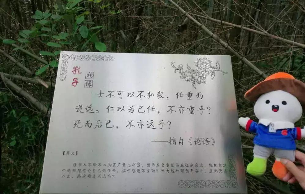 来，跟着“新高淳人”看高淳～