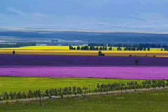环游之旅新疆,北疆环线喀纳斯赛里木湖8日游