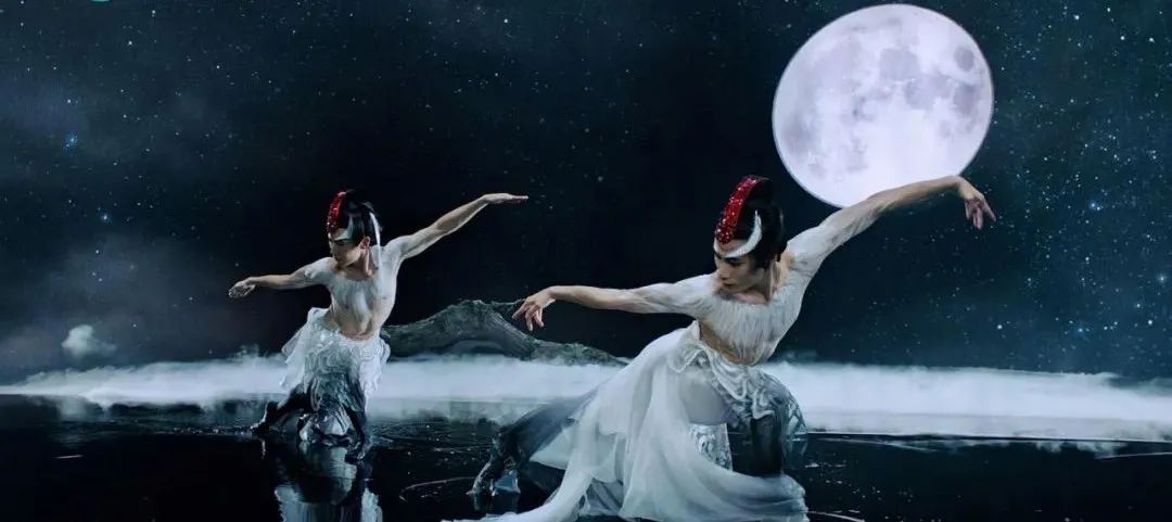 白描仙鹤舞动高清图片大全,舞动仙鹤萌新